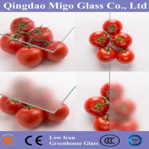 Issiqxona tomlari va devorlari uchun 4 mm qattiq shisha